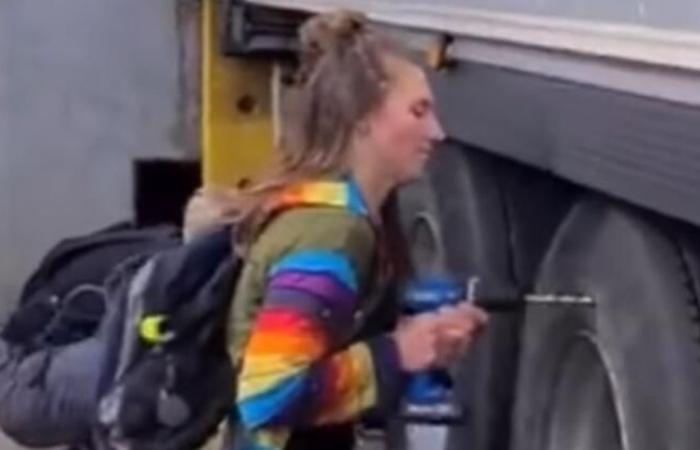 Vegan activists destroyed several hundred tires on milk vans in the UK