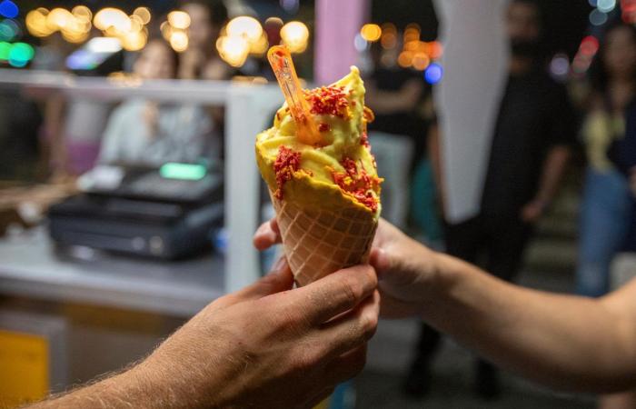 Orkla buys 84 percent of the American ice cream ingredient company – E24