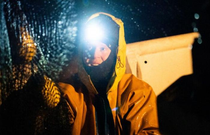 MLS star Jakob Glesnes (28) is spending the WC break on a fishing boat in Troms.