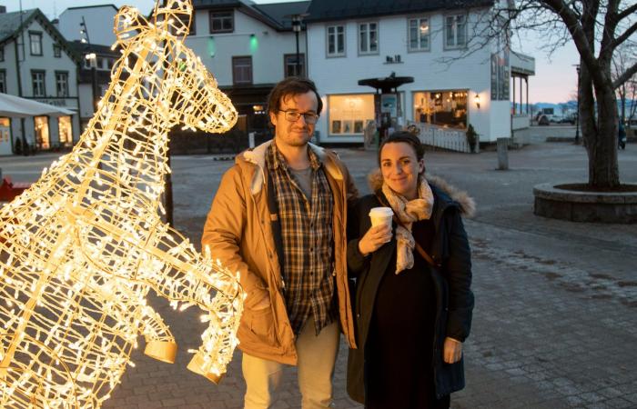 Harstad: Linn Hvattum ordered a luminous horse – received a luminous kangaroo