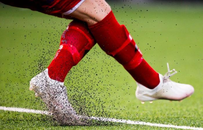 The European Commission has voted: Ban rubber granules on artificial grass pitches