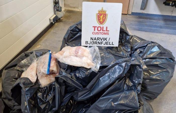 Tourist with 99 kilos of fish at the border: Got 27,000 in fines