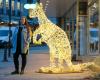Harstad: Linn Hvattum ordered a luminous horse – received a luminous kangaroo