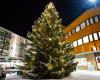 Woman (85) found dead under Christmas tree in Sweden