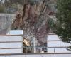 Parts of a building at Saugbrugs collapsed in Halden – NRK Oslo og Viken – Local news, TV and radio
