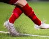 The European Commission has voted: Ban rubber granules on artificial grass pitches