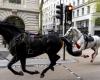 Bloody horse chaos in London
