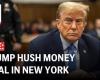Trump trial highlights Day 10 of hush money case