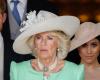 Queen Camilla wants to prevent Harry from meeting King Charles alone