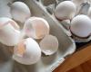 Nortura, Egg deficiency | Nortura should save the 17 May breakfast