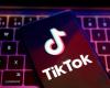 Pedophilia uncovered on TikTok – Swedish wanted