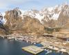 My unique mobile home camp in the sea in Lofoten can help on crowded tourist roads – NRK Nordland